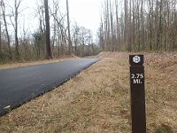 The Piedmont Medical Center Trail, Rock Hill SC  The Piedmont Medical Center Trail, Rock Hill SC : kasdorf, running, Trail Run
